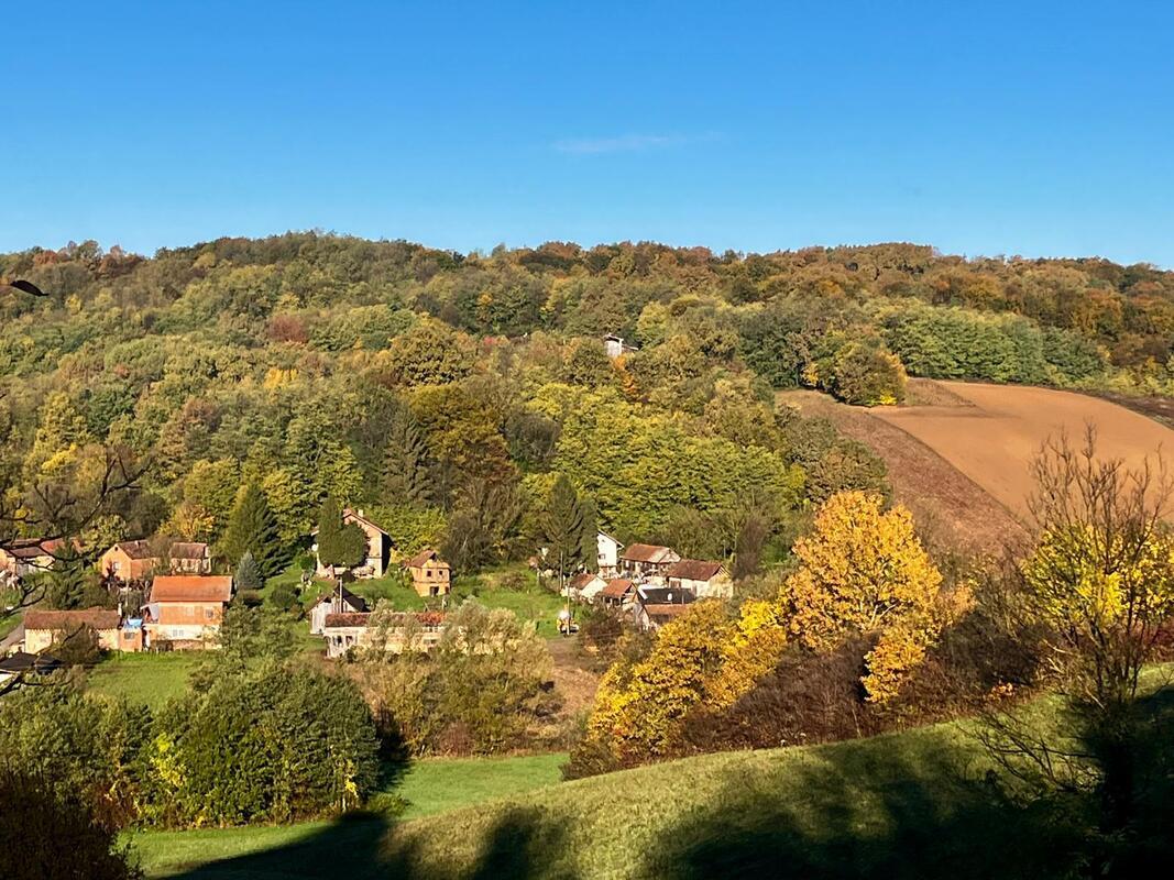 1000014745.jpg An aerial view of the lush village of Sveti Ivan Zelina.