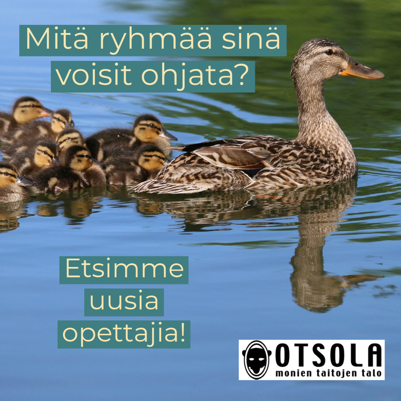 Kuvassa on vedessä uiva sorsaperhe ja tekstit: Mitä ryhmää sinä voisit ohjata? Etsimme uusia opettajia. Otsolan logo.