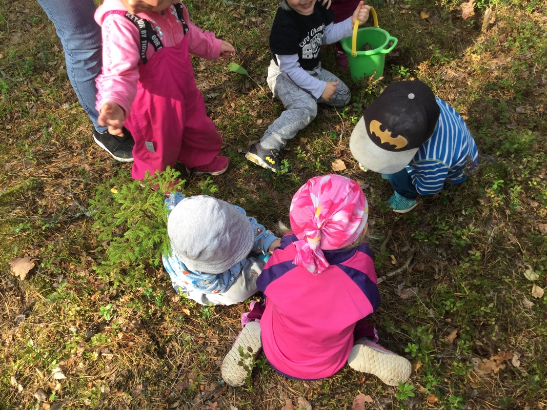 Metsäretkellä elokuussa 2019