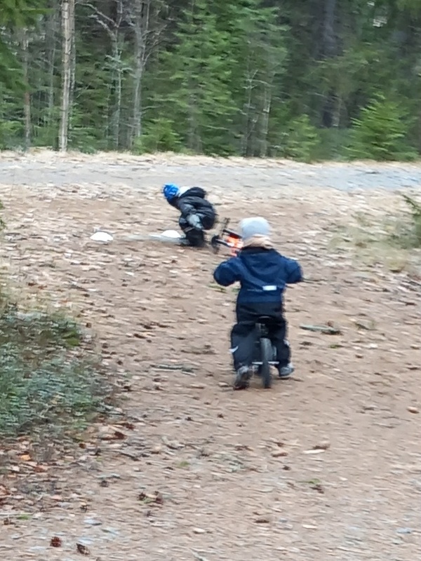 20250414_094950.jpg