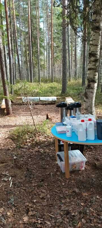 IMG-20250505-WA0010.jpg