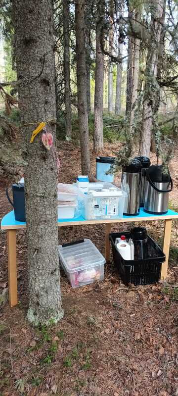 IMG-20250505-WA0013.jpg