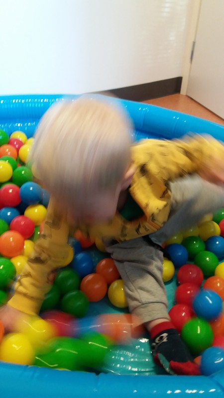 042.jpg