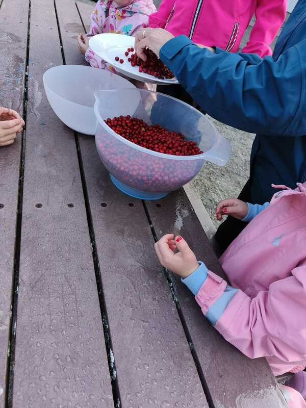 IMG-20240909-WA0003.jpg