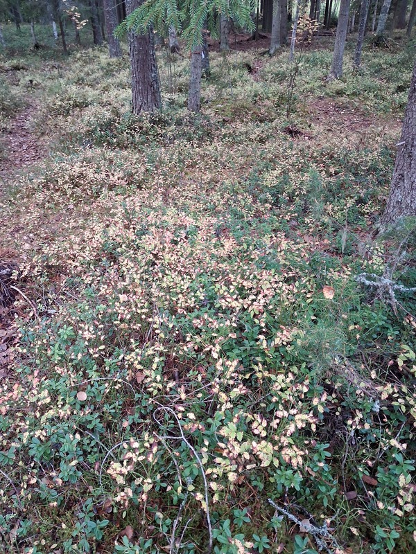 20261002_100547.jpg