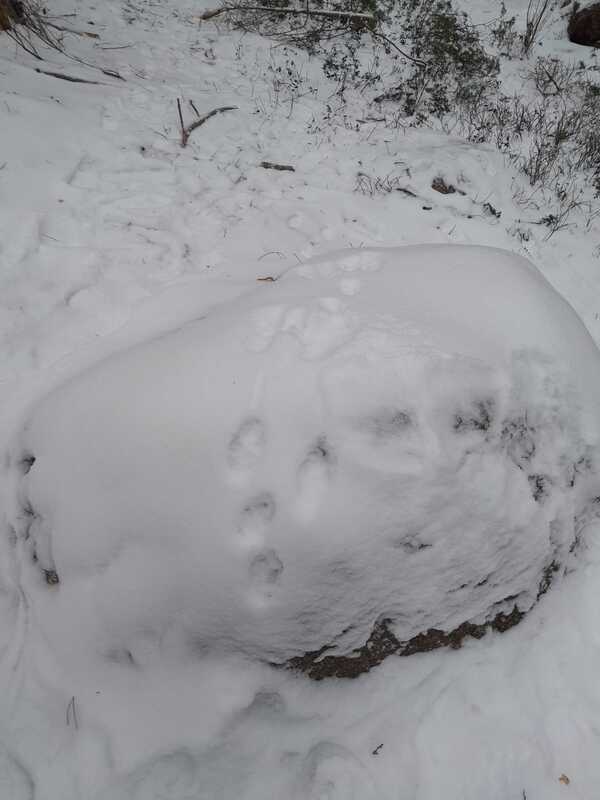 IMG-20231116-WA0011.jpg