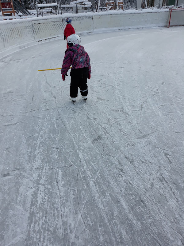 20190130_094113.jpg