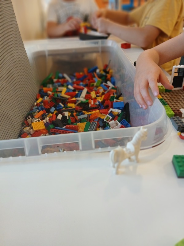 20260805_143552.jpg