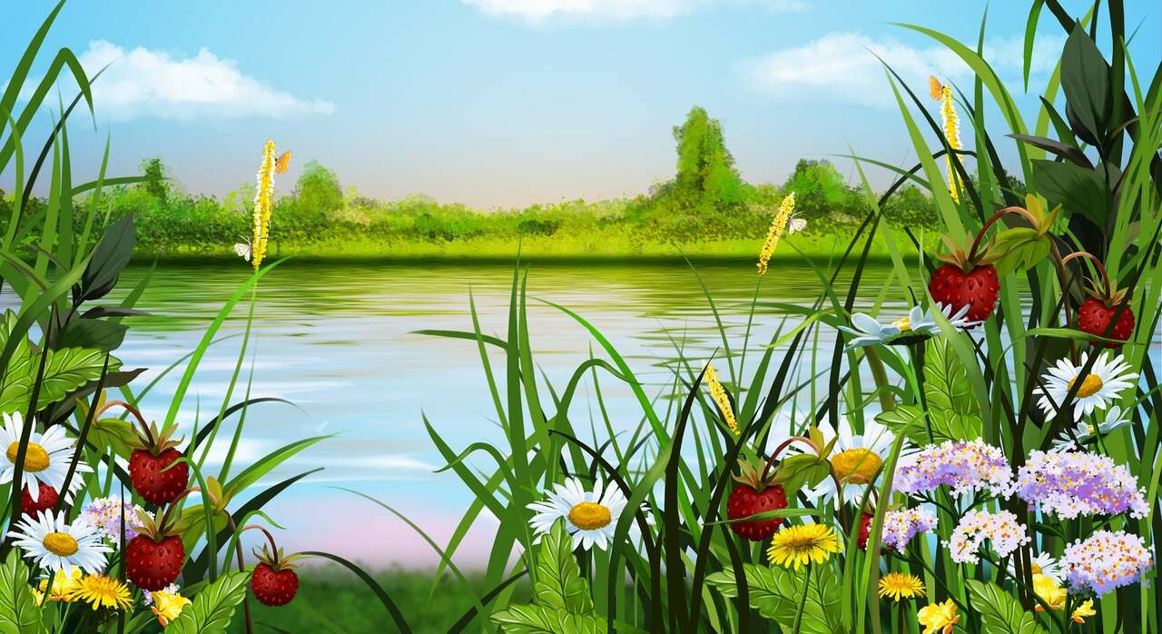 larisa-k-summer-2933960_1920.jpg