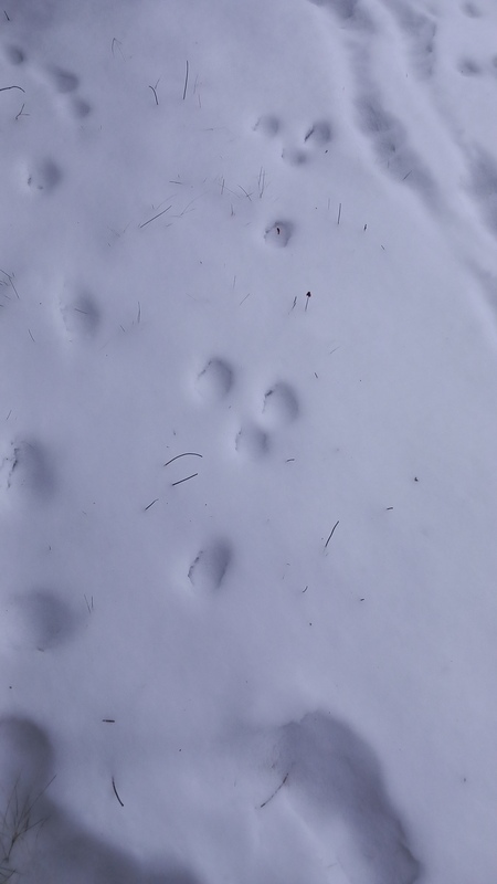 20260116_102811.jpg