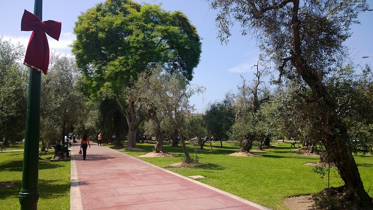 Lima, Peru, Bosque del Olivar