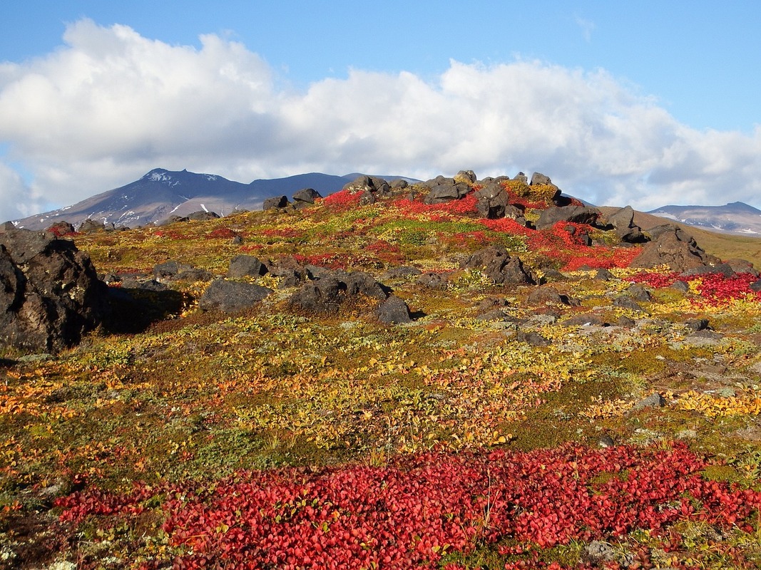 mountains-2731249_1280.jpg