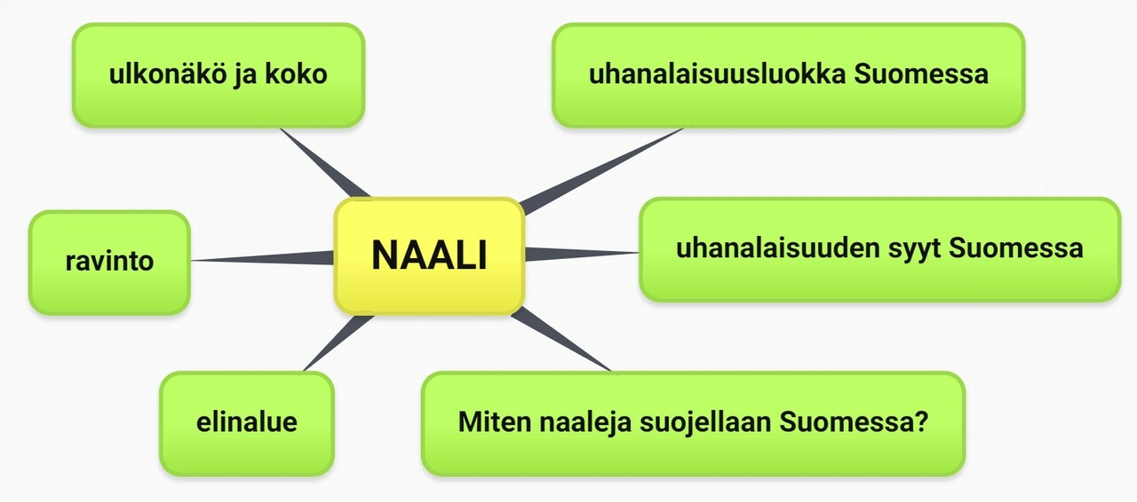 naali käsitekartta.jpg