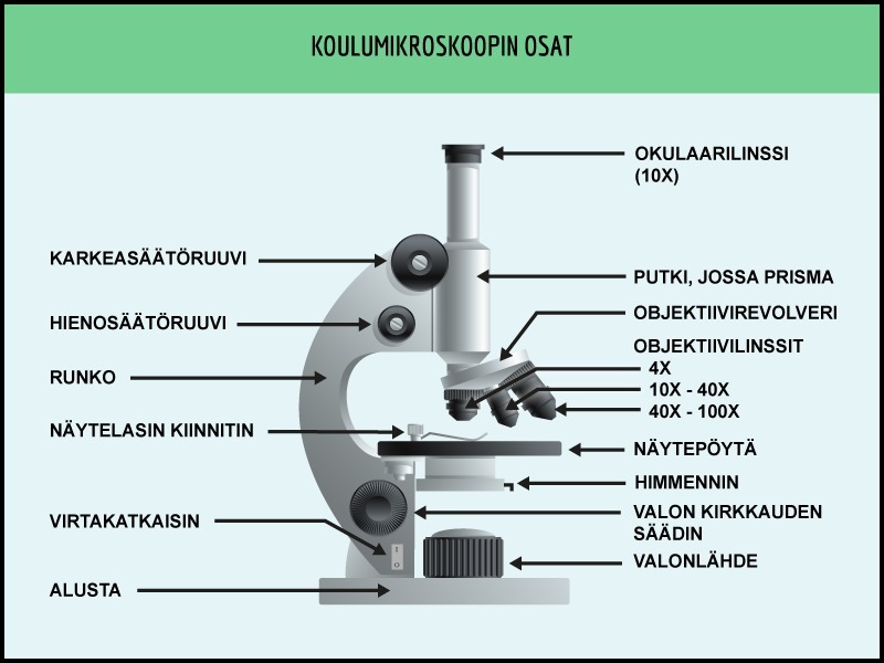 2. Opettele: mikroskoopin osat