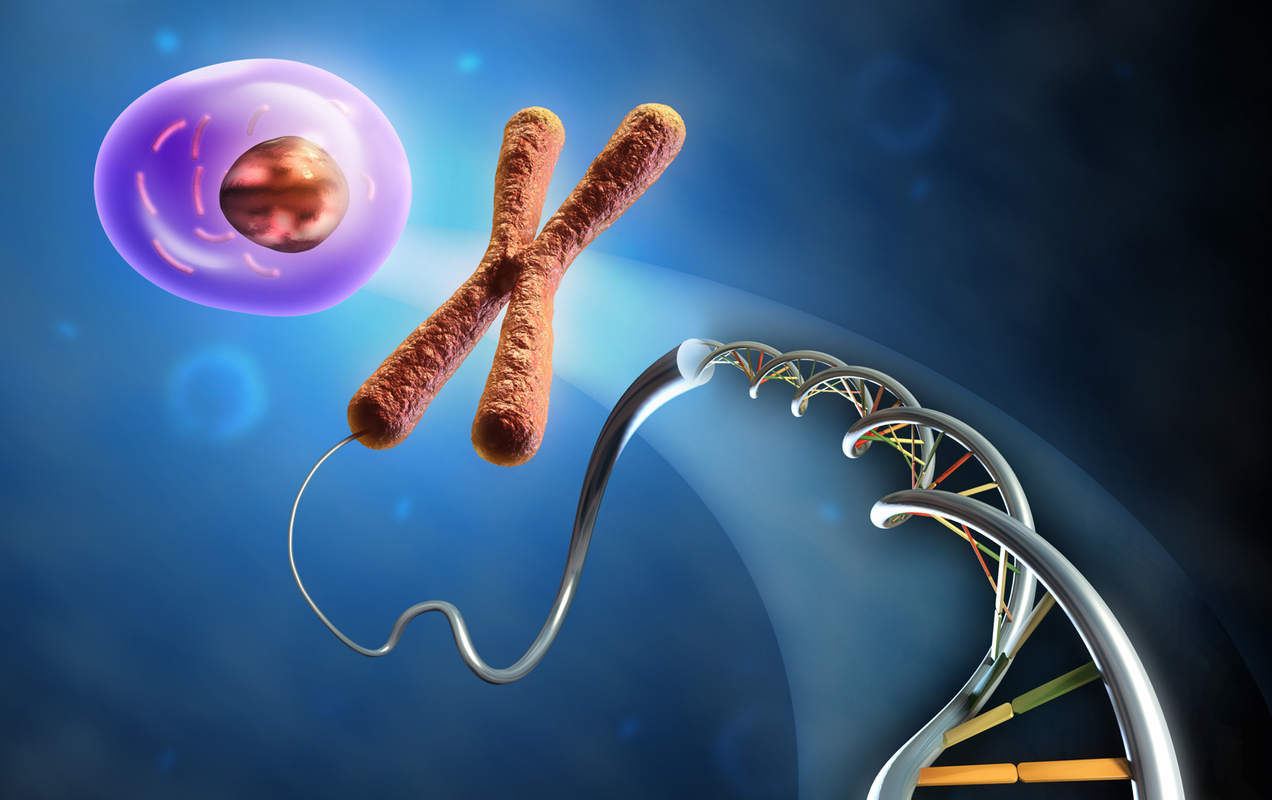Tätä perimää välittää kullekin lajille ominainen yhdiste DNA, jonka runko muodostuu suuresta määrästä toisiinsa liittyneitä hiiliatomeja.