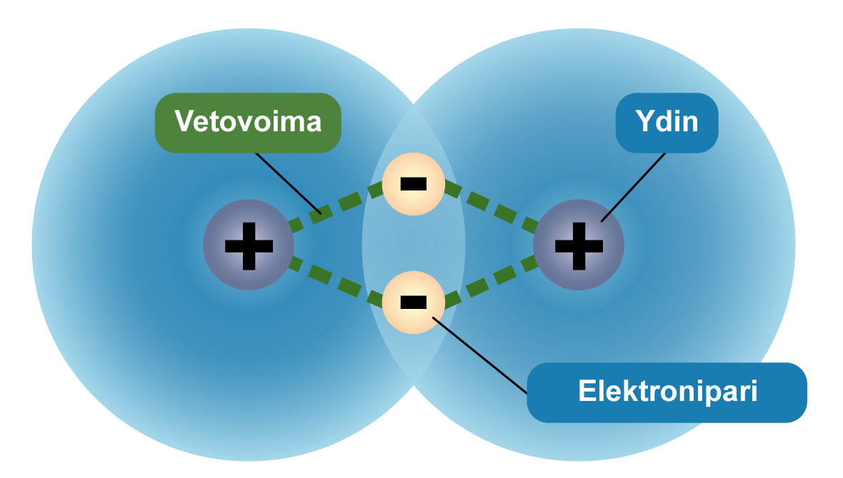 veto-ja-poistovoima.png