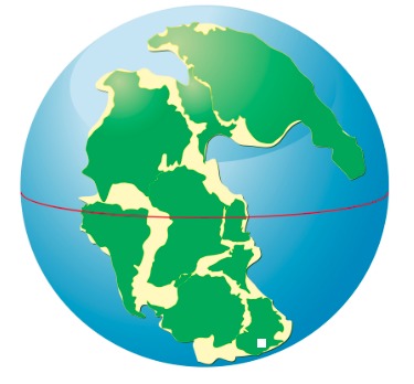 ge7_pangaia_shutterstock_peda.png