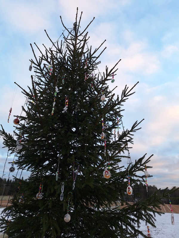 Koijärven koulupäiväkodin joulukuusi pihalla  2025