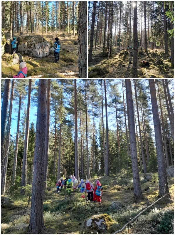 kuvakollaasi lapsista leikkimässä metsässä