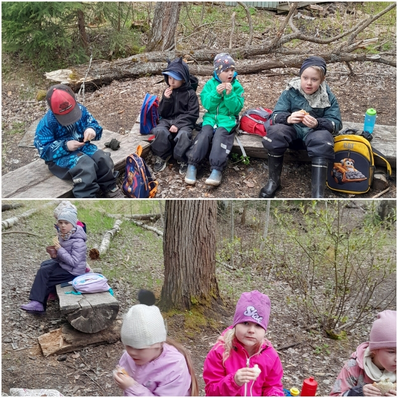 Lapset syövät eväitä metsässä