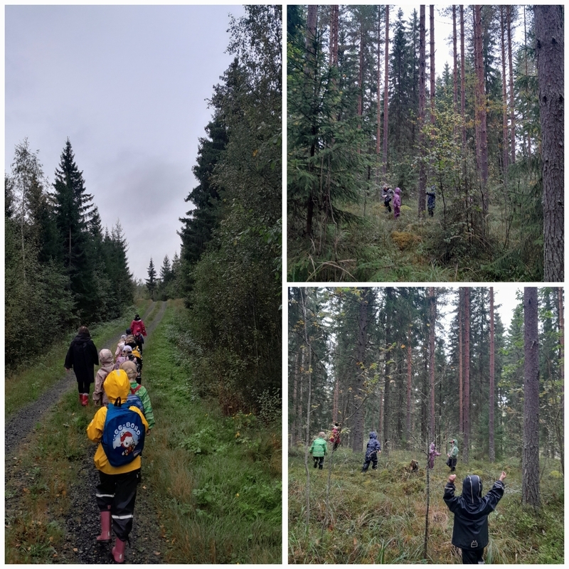 20240917_132230.jpg Metsäretki