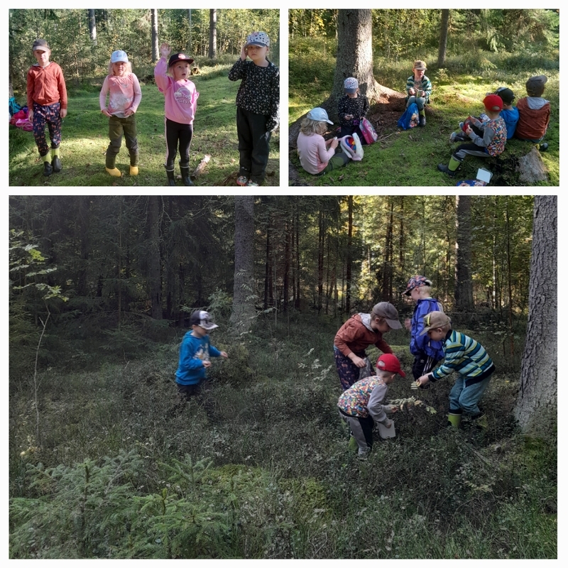 20240912_111513.jpg Metsäretki