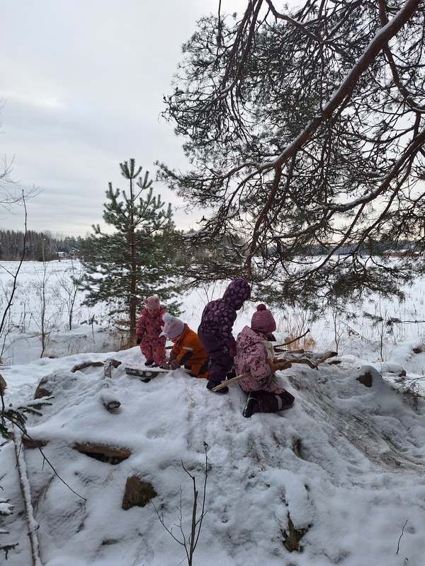 Metsäretkellä