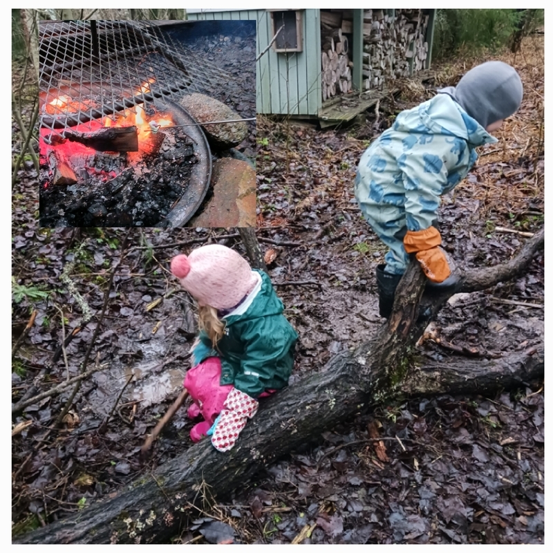 20251219_123352.jpg Lapset leikkimässä metsässä ja paistamassa vaahtokarkkia
