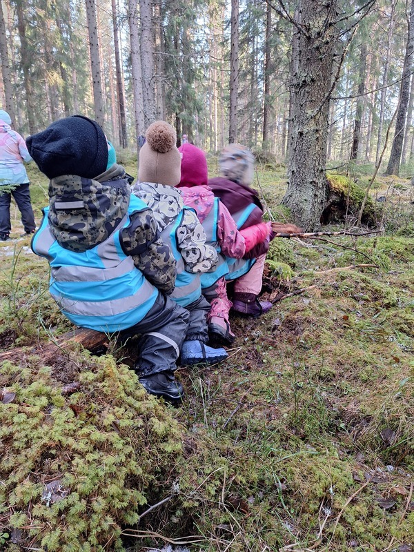 Lapset metsässä