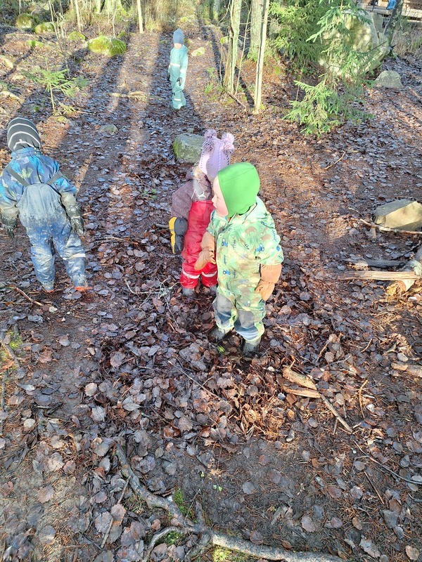 20251114_105659.jpg Lapset metsäretkellä