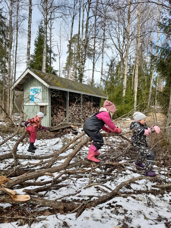 Lapset metsämörrissä