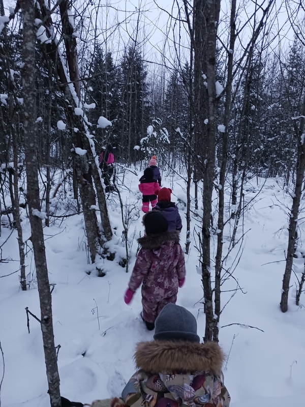 Lapset kävelyllä lumisessa metsässä.