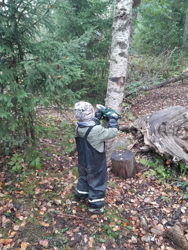 20240924_092134.jpg Lapsi leikkii lelumoottorisahalla metsässä.