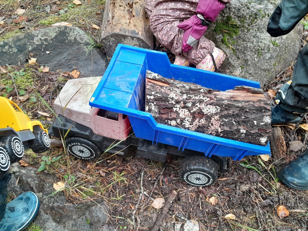 20240924_093215.jpg Lapsen rekka kuljettaa tukkia.