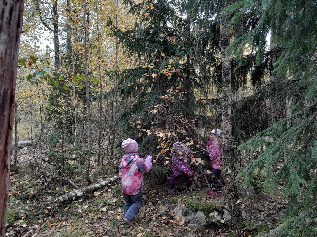 20241002_095306.jpg Lapset metsäretkellä.