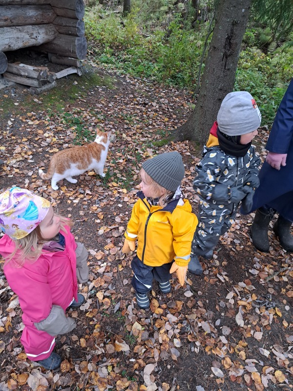 20241009_091433.jpg Kissa seurasi lapsiryhmää metsäretkelle