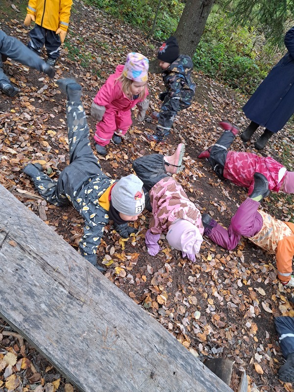 20241009_091654.jpg Lapset leikkivät Faaraon kissa- laululeikkiä metsässä