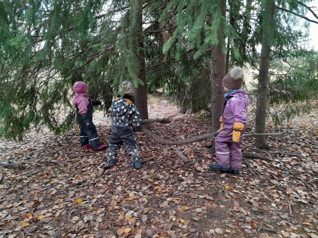 20241023_095519.jpg Lapset rakentavat majaa metsässä