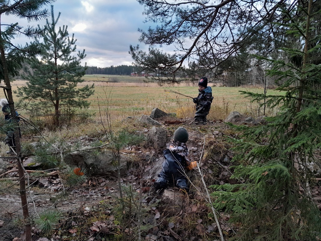 20241023_095605.jpg Lapset leikkivät metsässä