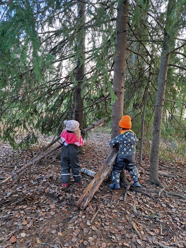 20241030_093741.jpg Lapset rakentavat metsässä majaa