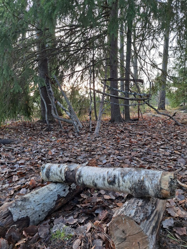 20241030_095816.jpg Valmis maja metsässä