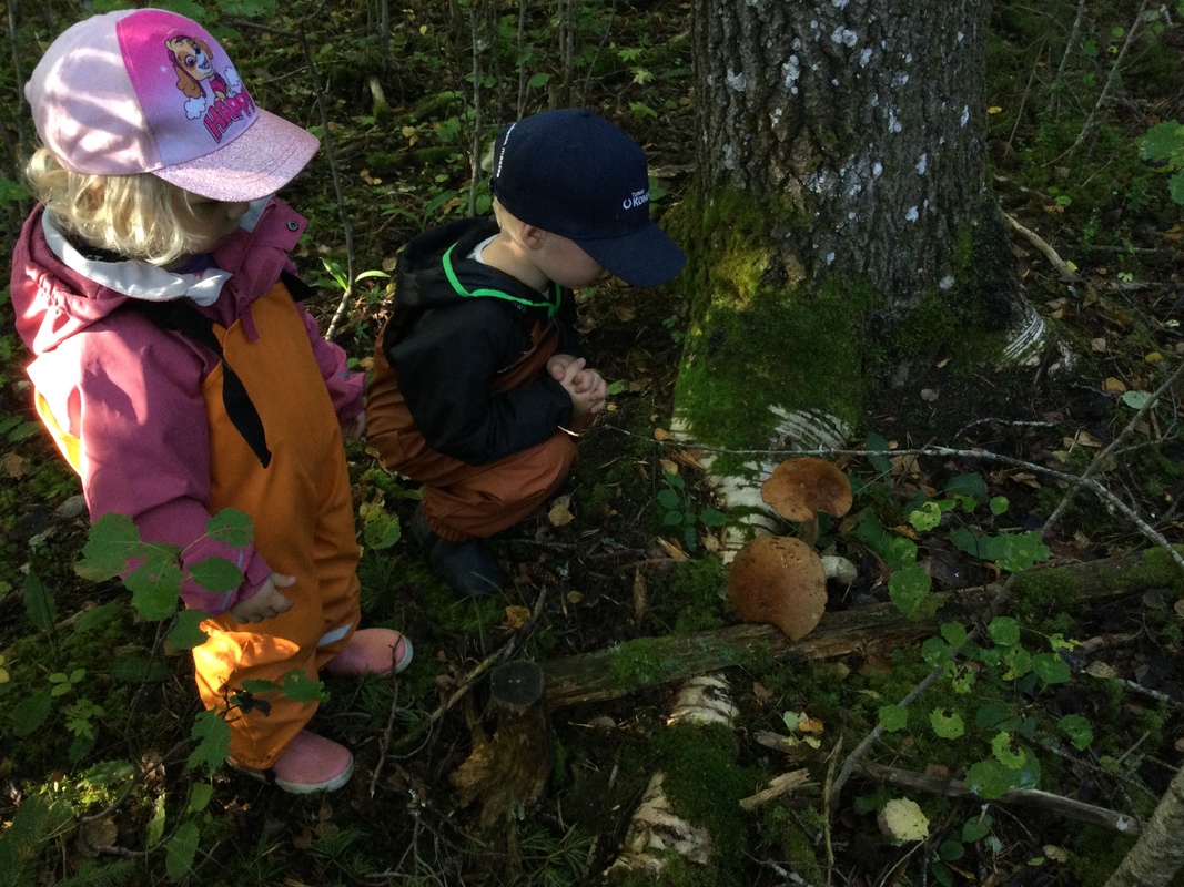 Lapsia metsässä katsomassa sieniä.
