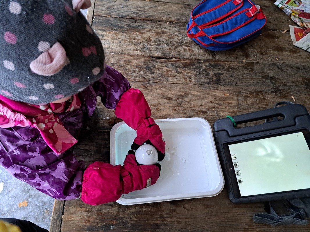 Lapsi tutkii lunta mikroskoopilla