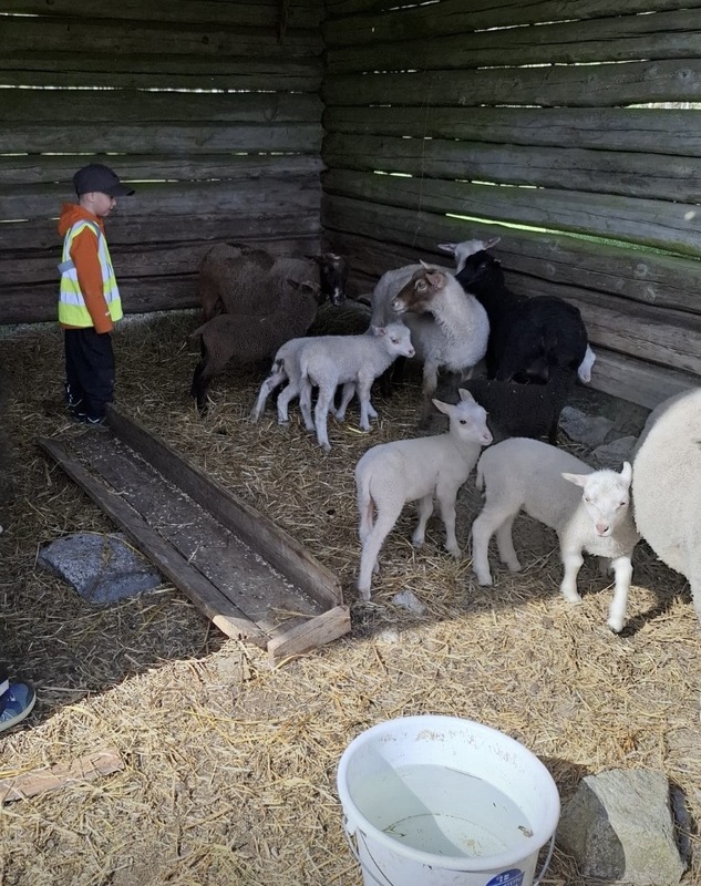 Viskareiden kevätretki Korteniemen perinnetilalle