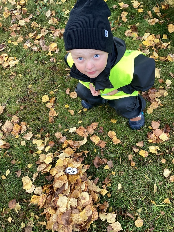 Lapsi ja lehtikasa jossa silmät