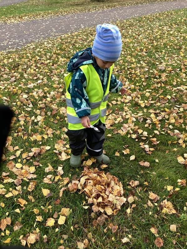 Lapsi laittaa silmien kuvan lehtikasaan