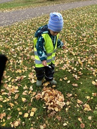 Lapsi laittaa silmien kuvan lehtikasaan