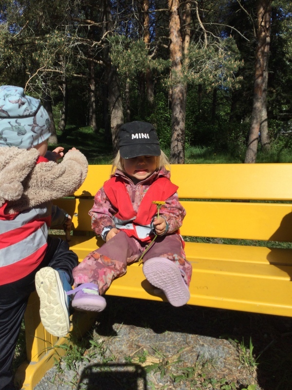 7EDF2071-70E2-494B-974E-AE17A1D15724.jpeg Lapsi istuu puiston penkillä voikukka kädessä.