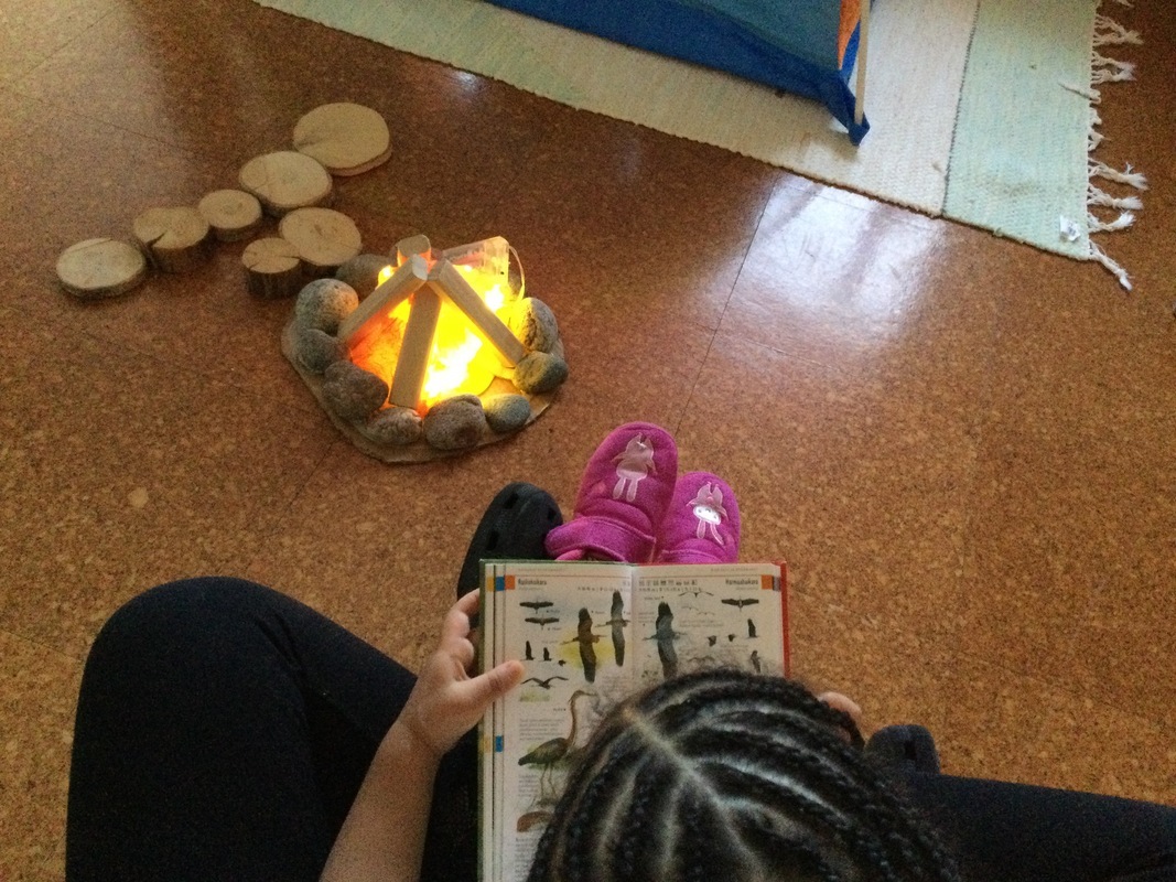 Lapsi ja aikuinen lukevat lintukirjaa leikkinuotion äärellä