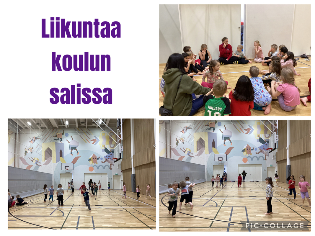 Keskiviikkona selvitimme mitä on sähly? Liikuntaa koulun salissa